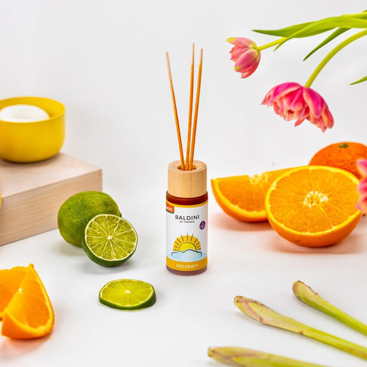 Baldini - Feelkraft® Raumduftset BIO | demeter 50 ml