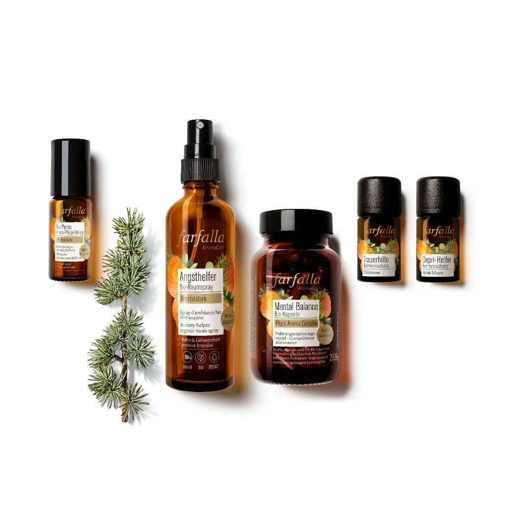 Farfalla – No panic Aroma-Pflege-Roll-on, Mentalstark, 10 ml