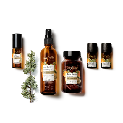 Farfalla – No panic Aroma-Pflege-Roll-on, Mentalstark, 10 ml